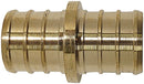 7003163.jpg