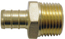 7003452.jpg