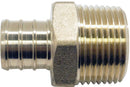 7003460.jpg
