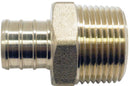 7003478.jpg
