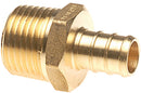 7003510.jpg