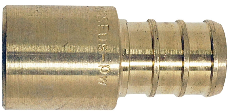 7003544.jpg