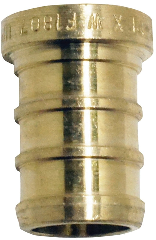 7003577.jpg