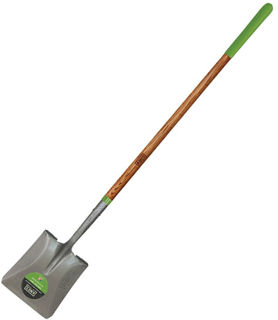 7005788.jpg