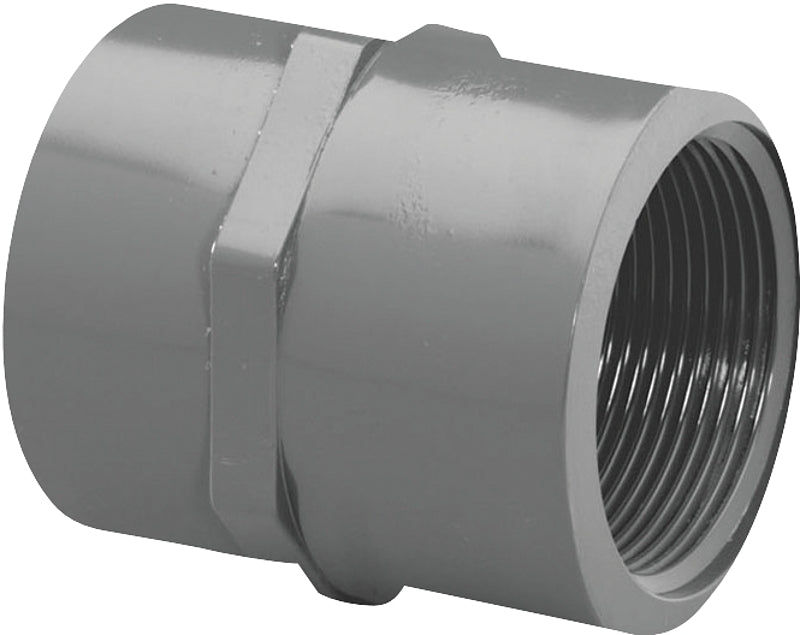 Thrifco Plumbing 8213052 Pipe Adapter