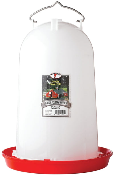 Little Giant 7906 Poultry Waterer