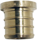 7193410.jpg