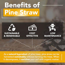 Premium 8 Pounds Pine Straw Mulch for Landscaping, Organic Material Made from Authentic Pine Needles Ideal for Gardening, Soil Moisture Retention.