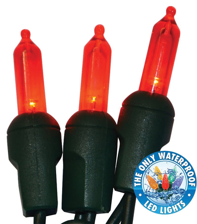 Holiday Bright Lights LEDBX-T550-RD6 Light Set