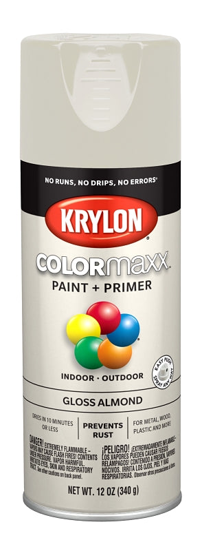 Krylon COLORmaxx™ K05500007 Enamel Spray Paint