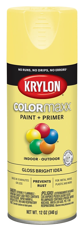 Krylon COLORmaxx™ K05507007 Enamel Spray Paint