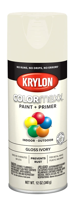 Krylon COLORmaxx™ K05524007 Enamel Spray Paint