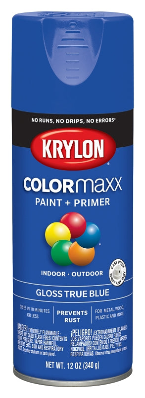 Krylon COLORmaxx™ K05543007 Enamel Spray Paint