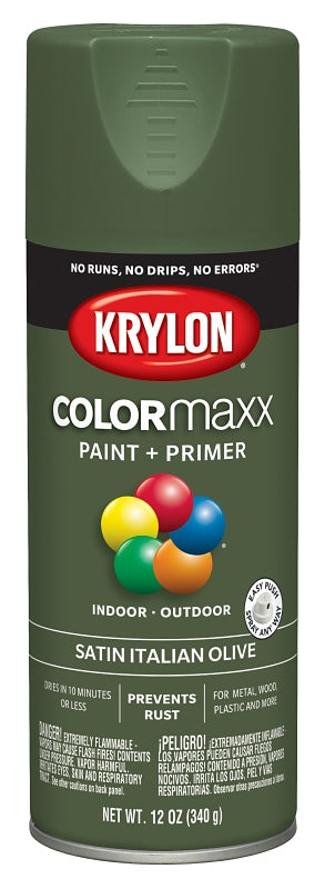 Krylon COLORmaxx™ K05566007 Enamel Spray Paint