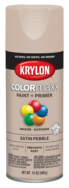 Krylon COLORmaxx™ K05572007 Enamel Spray Paint