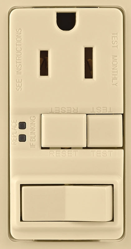 7335854.jpg