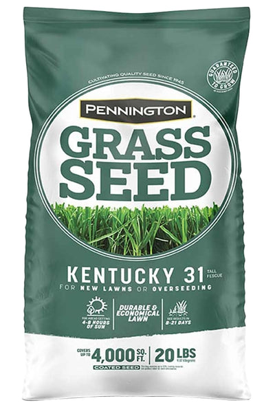 Pennington 100543701 Kentucky Fescue Grass Seed