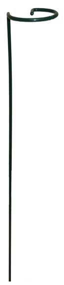 7349632.jpg