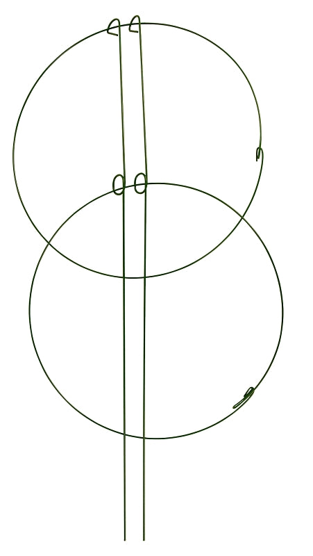 7406390.jpg