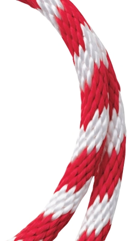 7459092.jpg