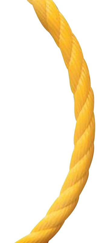 7459522.jpg