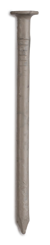 7469281.jpg