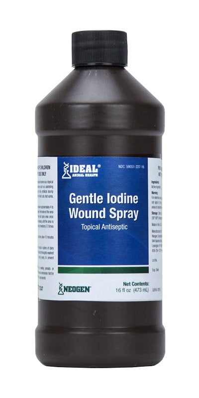 Ideal 79214 Gentle Iodine Wound