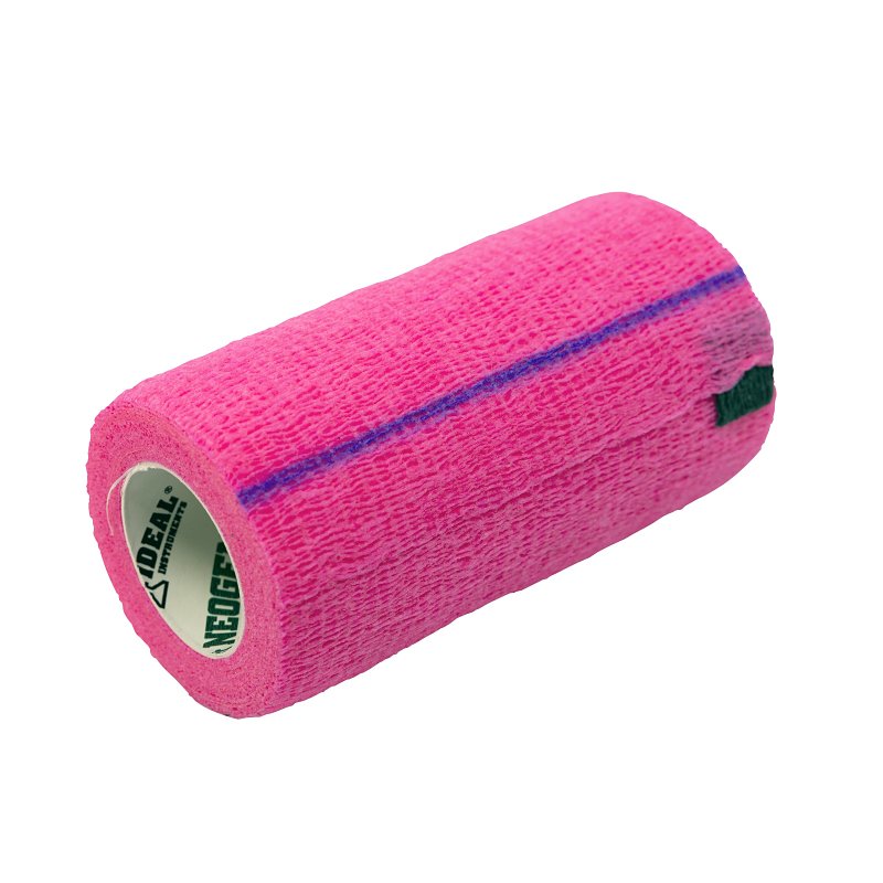 7498348.jpg