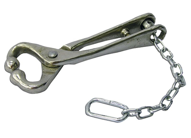 Neogen 7001 Bull Lead