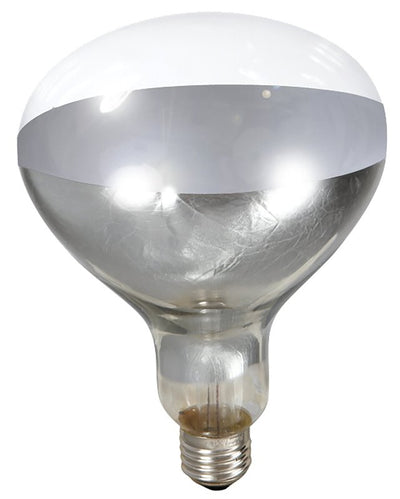 Little Giant 170031 Heat Lamp Bulb