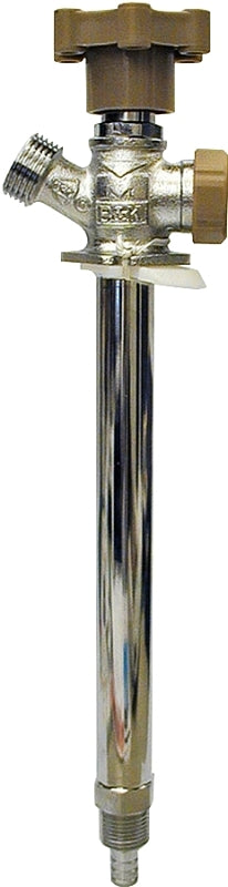7521941.jpg