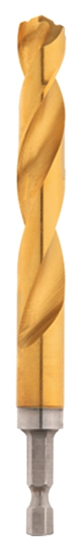 7577745.jpg