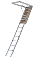 7719305.jpg
