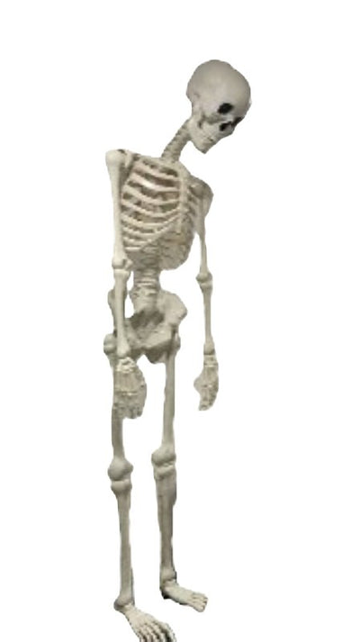 Santas Forest 36101 Halloween Skeleton with Blink Eye