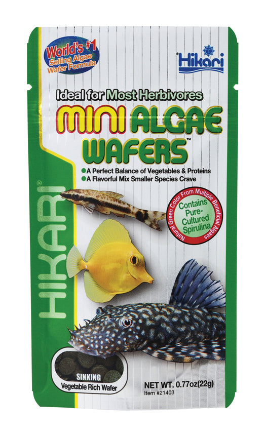 Hikari Mini Algae Wafers, .77 oz - Standard