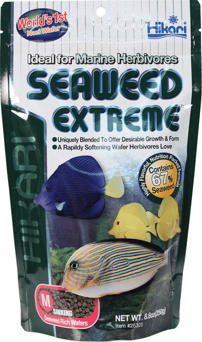 Hikari Seaweed Extreme Sinking Wafers, 8.8 Oz-MD - Standard