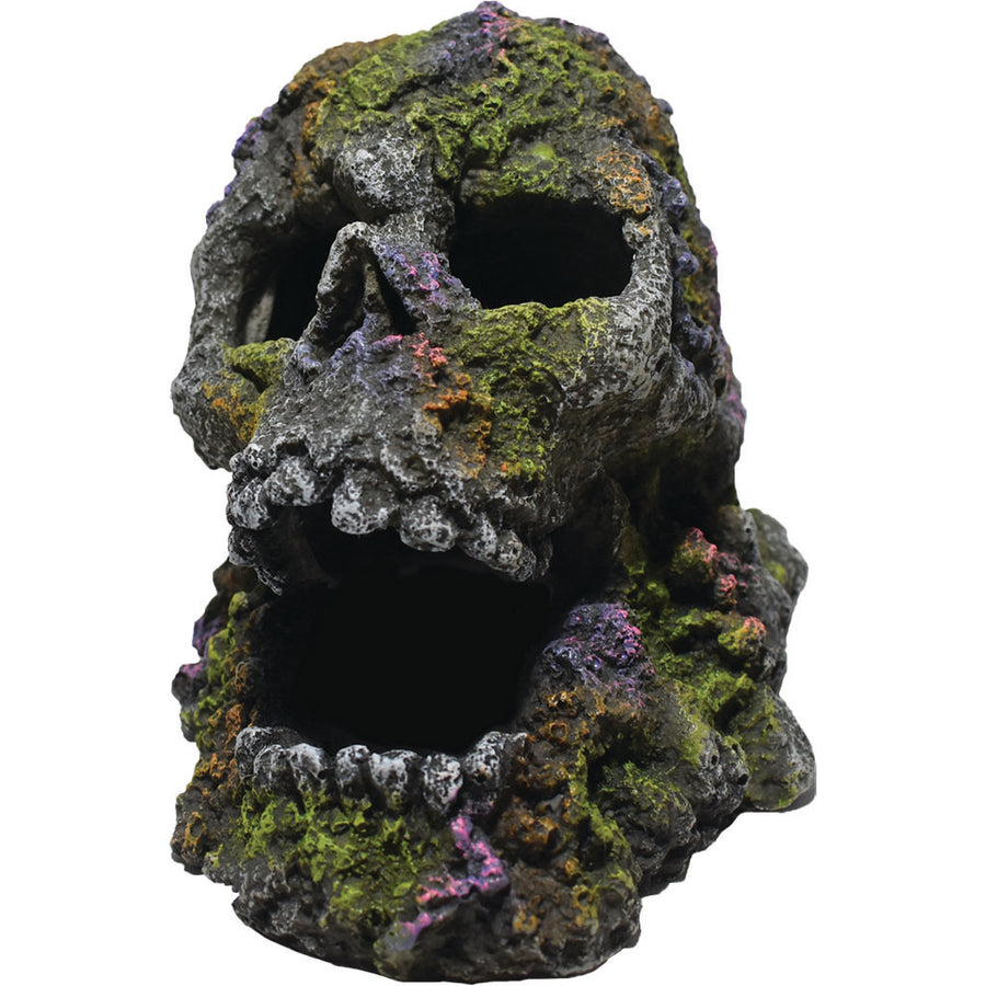 Hikari Mossy Skull, 4.1 in - Resin