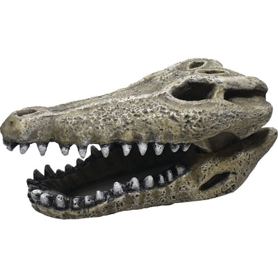 Hikari Gator Skull, 2 in - Resin
