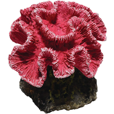 Hikari Coral, Pink, 2.9 in - Resin