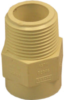 8109415.jpg