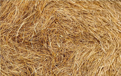 Organic Wheat Straw - 100% Natural Wheat Straw Ideal for Gardening