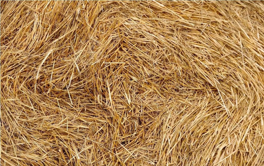 Organic Wheat Straw - 100% Natural Wheat Straw Ideal for Gardening