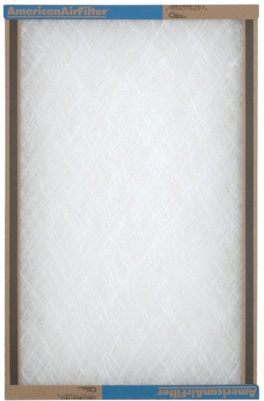 8161911.jpg