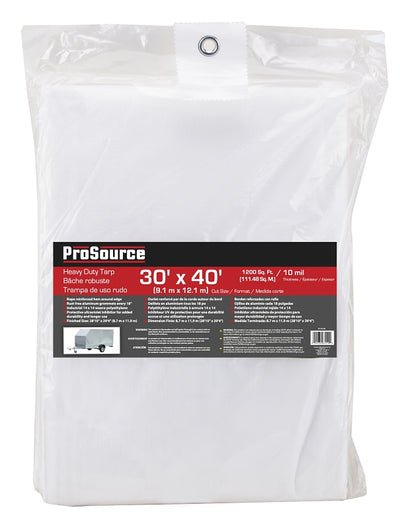 ProSource TW3040 Tarp