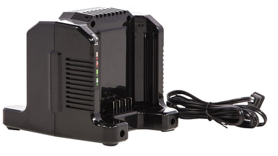 Greenworks Pro Series 2958602AZ Dual-Port Rapid Charger