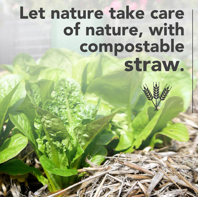 Premium Garden Straw  - Straw Mulch That is Designed for Use in Compost Beds, Gardens, Pet Bedding, Lawns and Much More. by Home and Country USA