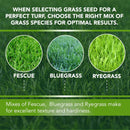 Athletic Field Grass Seed Lawn Seed (50 lb)