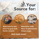 Premium Garden Straw  - Straw Mulch That is Designed for Use in Compost Beds, Gardens, Pet Bedding, Lawns and Much More. by Home and Country USA