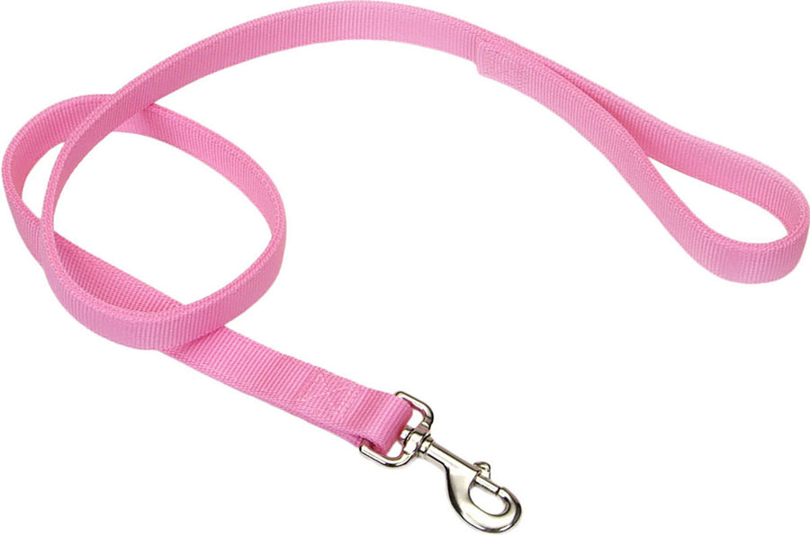 Coastal Double Ply Dog Leash, Bright Pink, 1 in x 4 ft - Nylon Leads