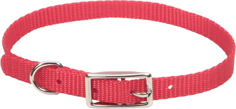 Coastal Single Ply Dog Collar, Red, 3/8 x 12 in - Nylon Collars